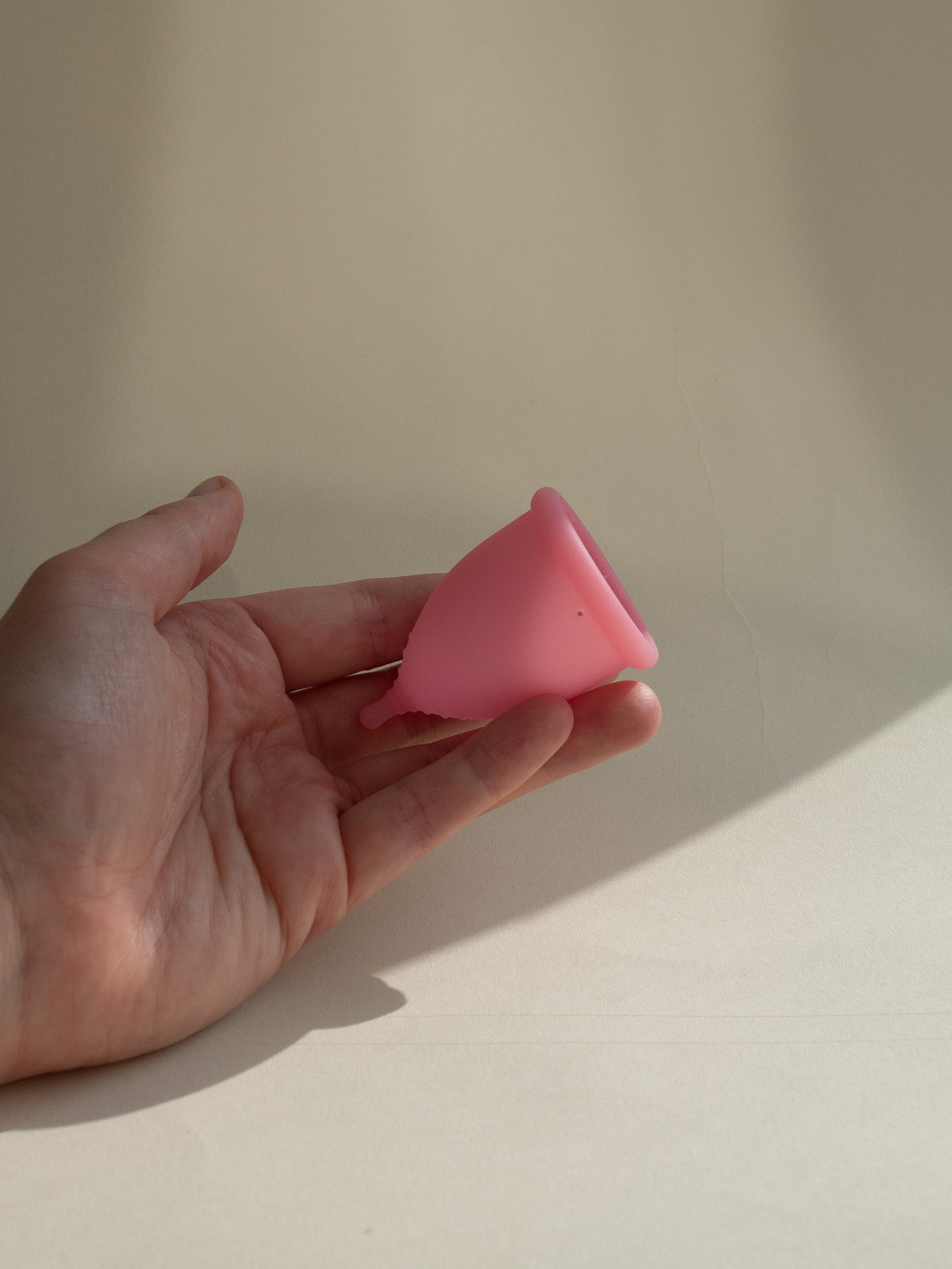 Menstrual Cup and Bag