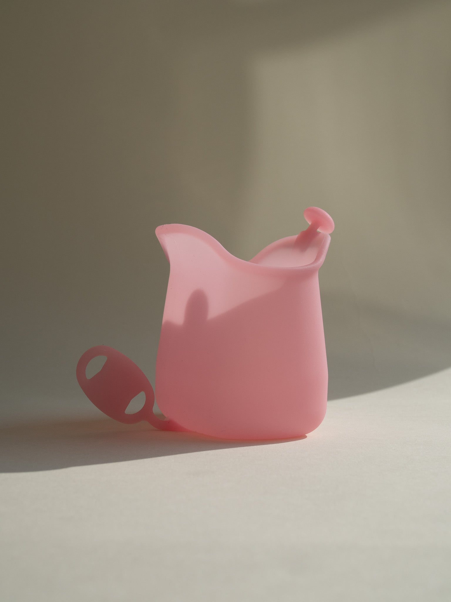 Menstrual Cup and Bag